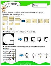 Zeka Gelişim Testleri